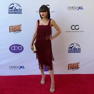 Burgundy Fridge Dress